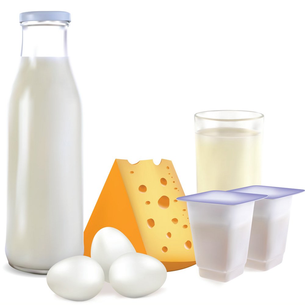 DAIRY PRODUCTS AND EGG